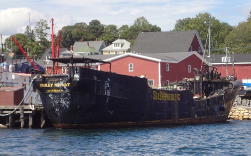 The Farley Mowat